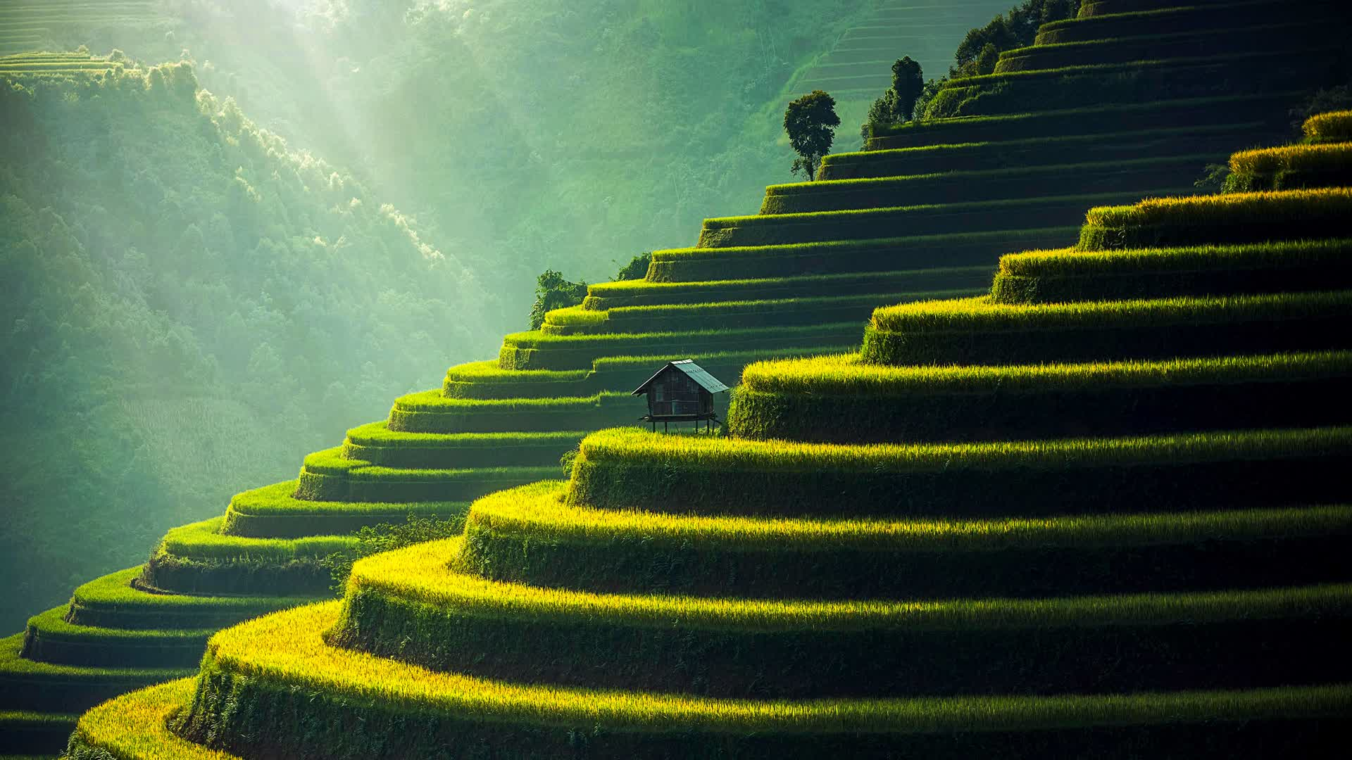 Imagen 1 del proyecto Publicitaria